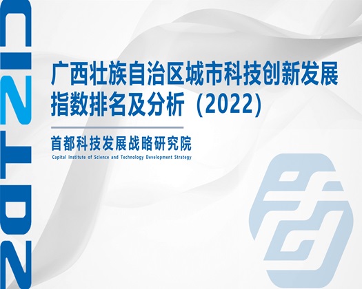 大鸡巴操逼喷水【成果发布】广西壮族自治区城市科技创新发展指数排名及分析（2022）